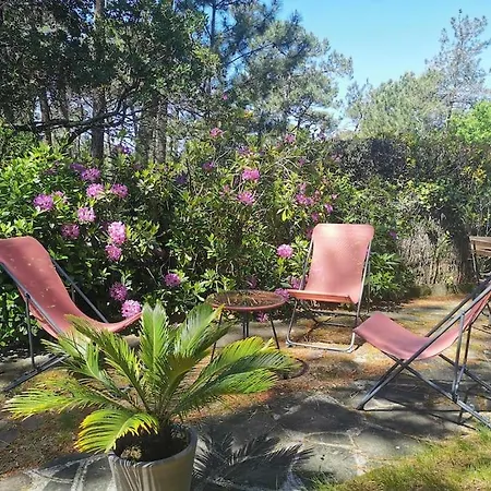 Refait A Neuf, Pyla-sur-mer Apartmán La Teste-de-Buch